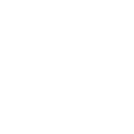 No Animal Testing